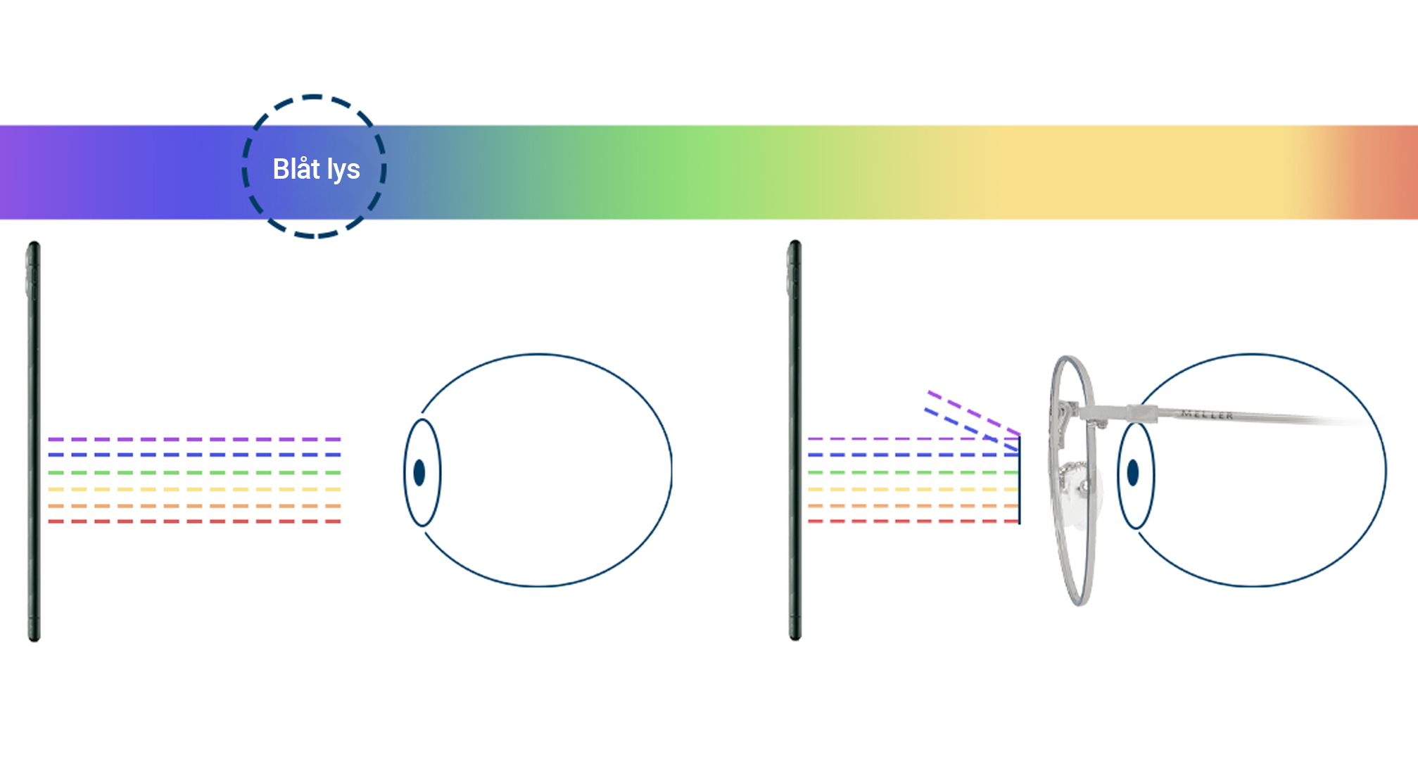 How blue light filter works