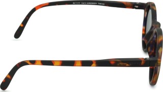 Izipizi Sun Junior #D Tortoise (for alderen 7 - 11 år)