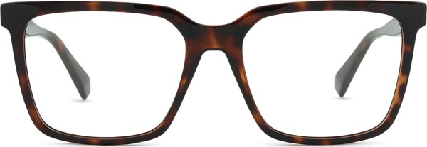 Polaroid PLD D556/C 086 17 55 (clip-on)