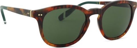 Polo Ralph Lauren 0PH 4206 501771 52