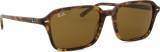 Ray-Ban Raimond RB2231 141833 56