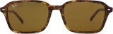 Ray-Ban Raimond RB2231 141833 56 37456