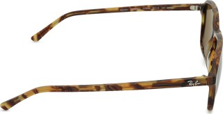 Ray-Ban Raimond RB2231 141833 56 37457
