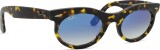 Ray-Ban RB2242 13323F 53