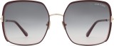 Tom Ford Raphaela FT1006 69W 60 Produkt forfra